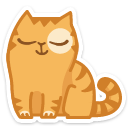 cat24    {cat24} {cat24}