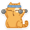 cat43 {cat43} {cat43}