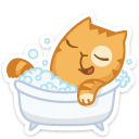 cat44 {cat44} {cat44}